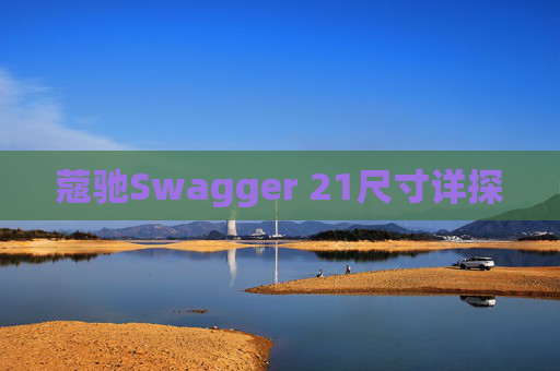 蔻驰Swagger 21尺寸详探